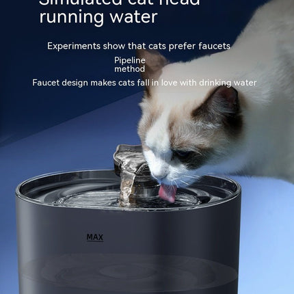 Distributeur d'eau automatique pour chats - BMWi Shopping