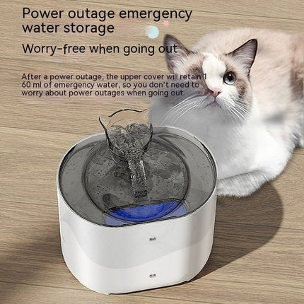 Distributeur d'eau automatique pour chats - BMWi Shopping