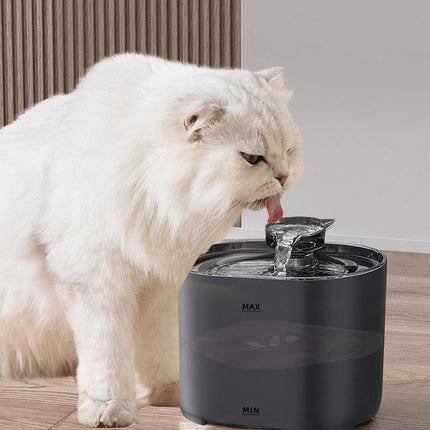 Distributeur d'eau automatique pour chats - BMWi Shopping