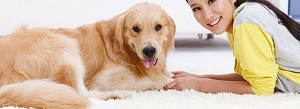 Gamelle pour chien et chat avec abreuvoir - BMWi Shopping