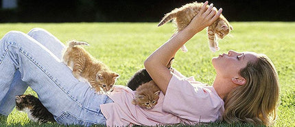 Gamelle pour chien et chat avec abreuvoir - BMWi Shopping